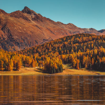 Koechli-lusti.com with Codia Koechli-lusti.com with Codia