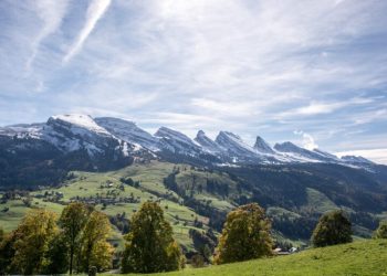 toggenburg